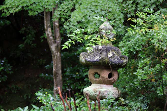 A serene moss-covered stone lantern nestled among ancient trees in a hidden Kamakura temple garden.