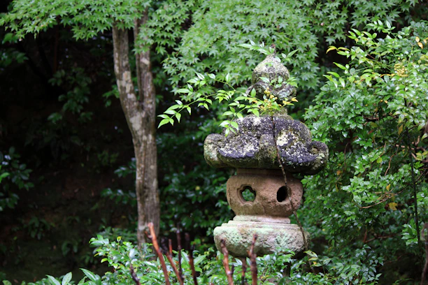 A serene moss-covered stone lantern nestled among ancient trees in a hidden Kamakura temple garden.