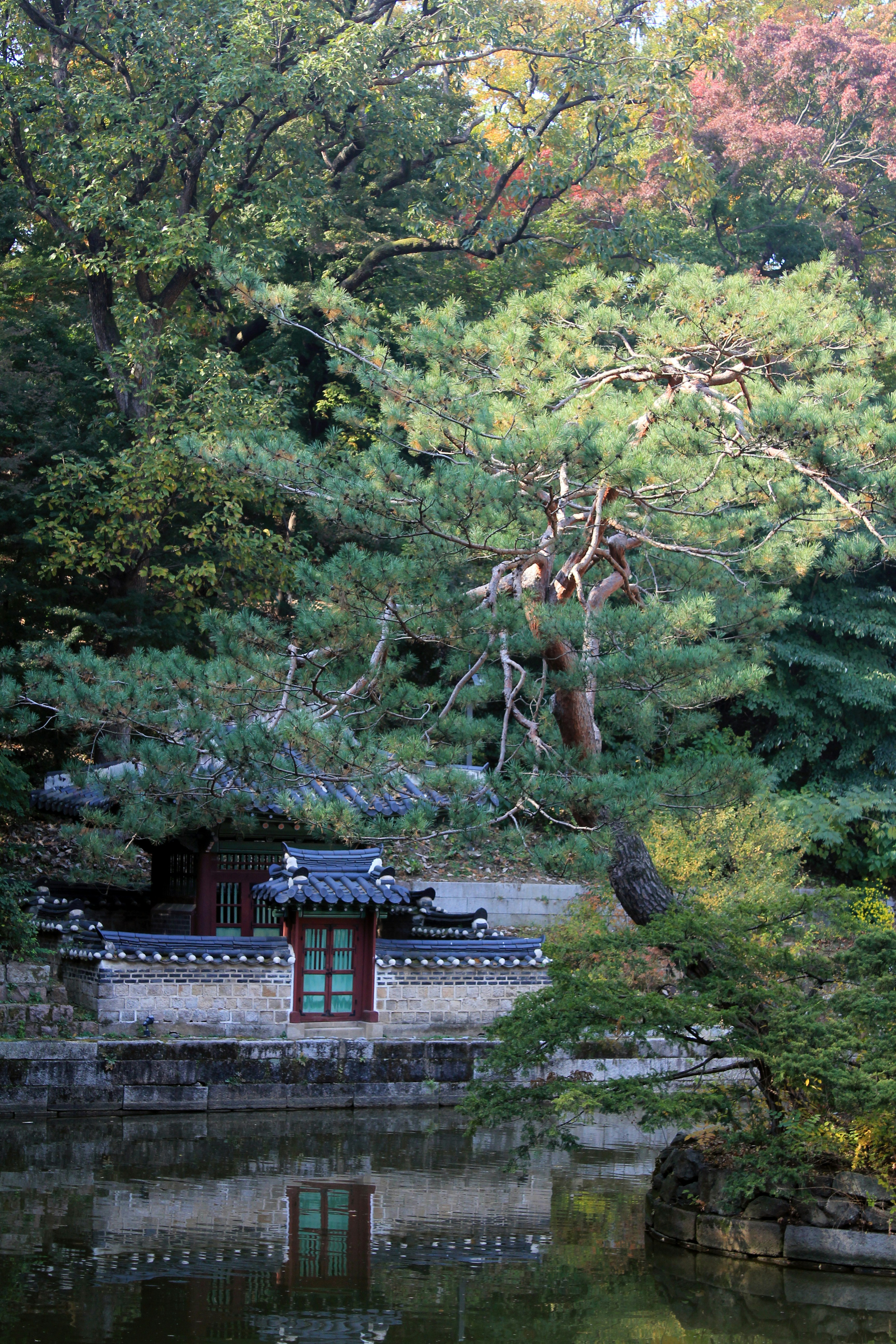 Photo by nicolashung