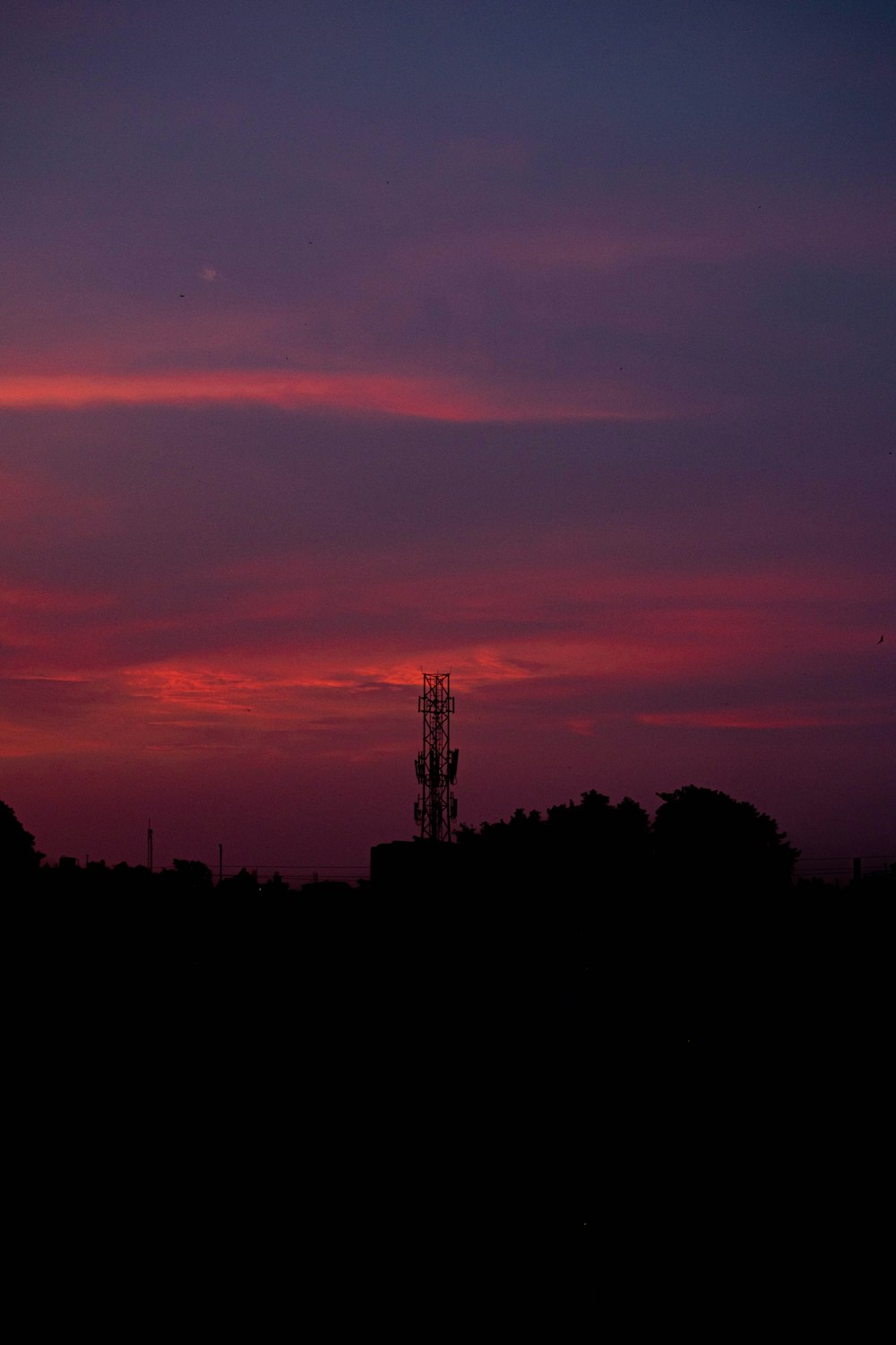 silhouette of trees during sunset