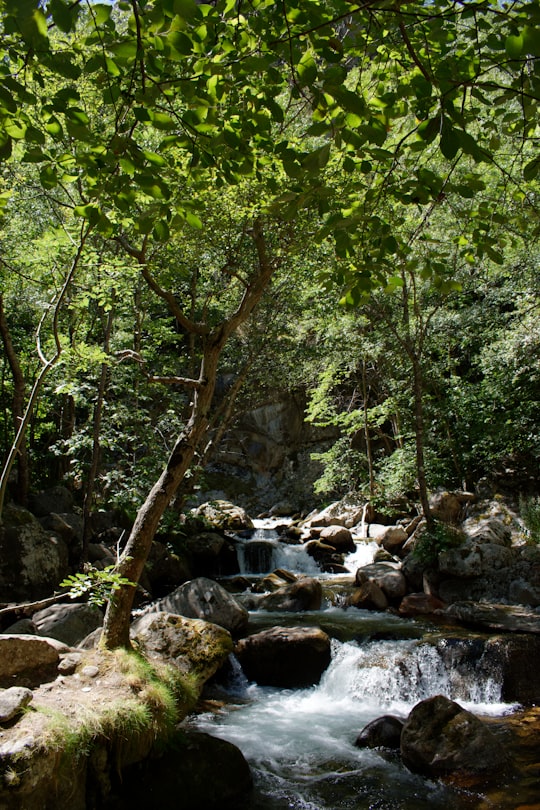 Gorges de la Carança things to do in Casteil