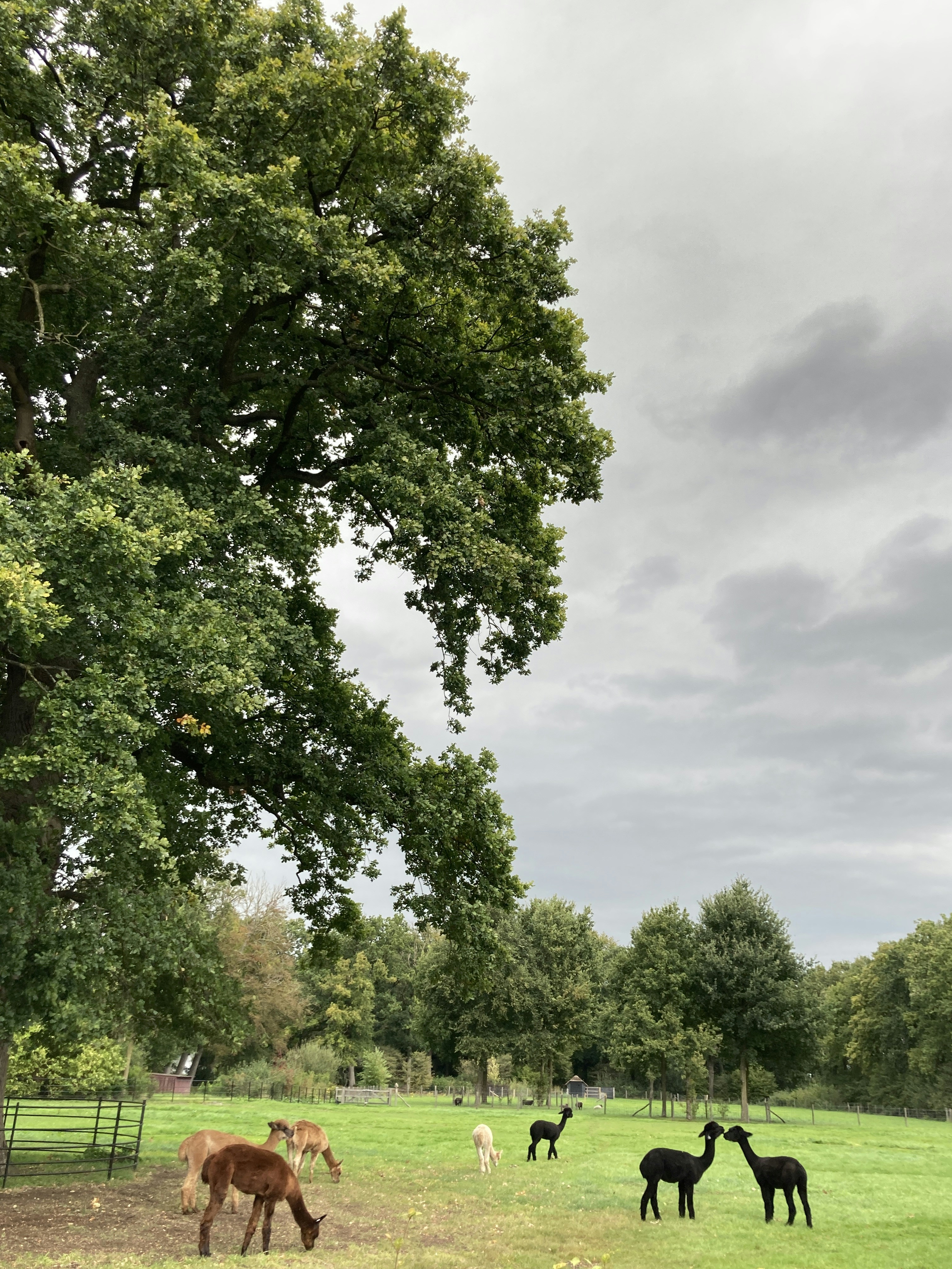 Photo by the_legend68