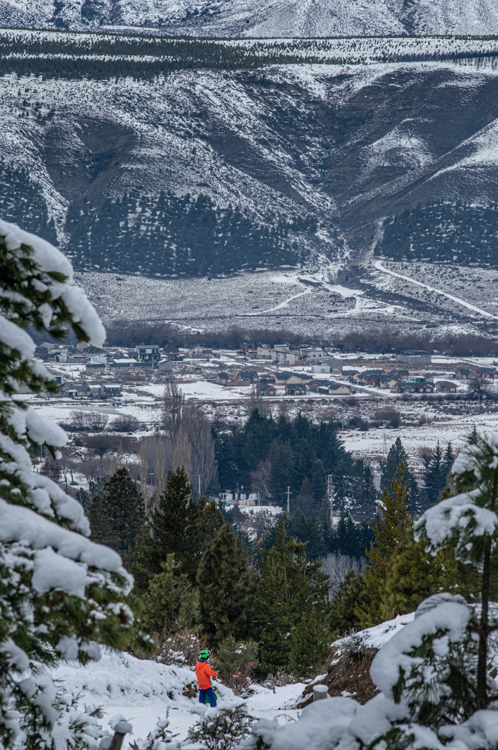 green pine trees on snow covered mountain during daytime