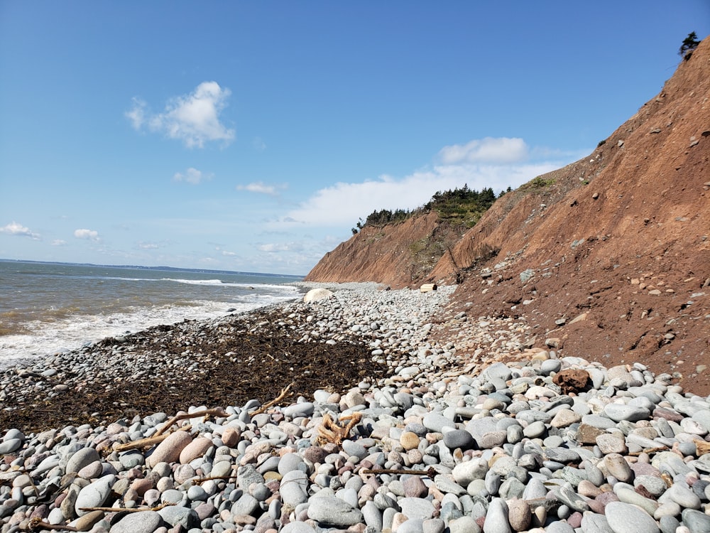 white stones on seashore during daytime