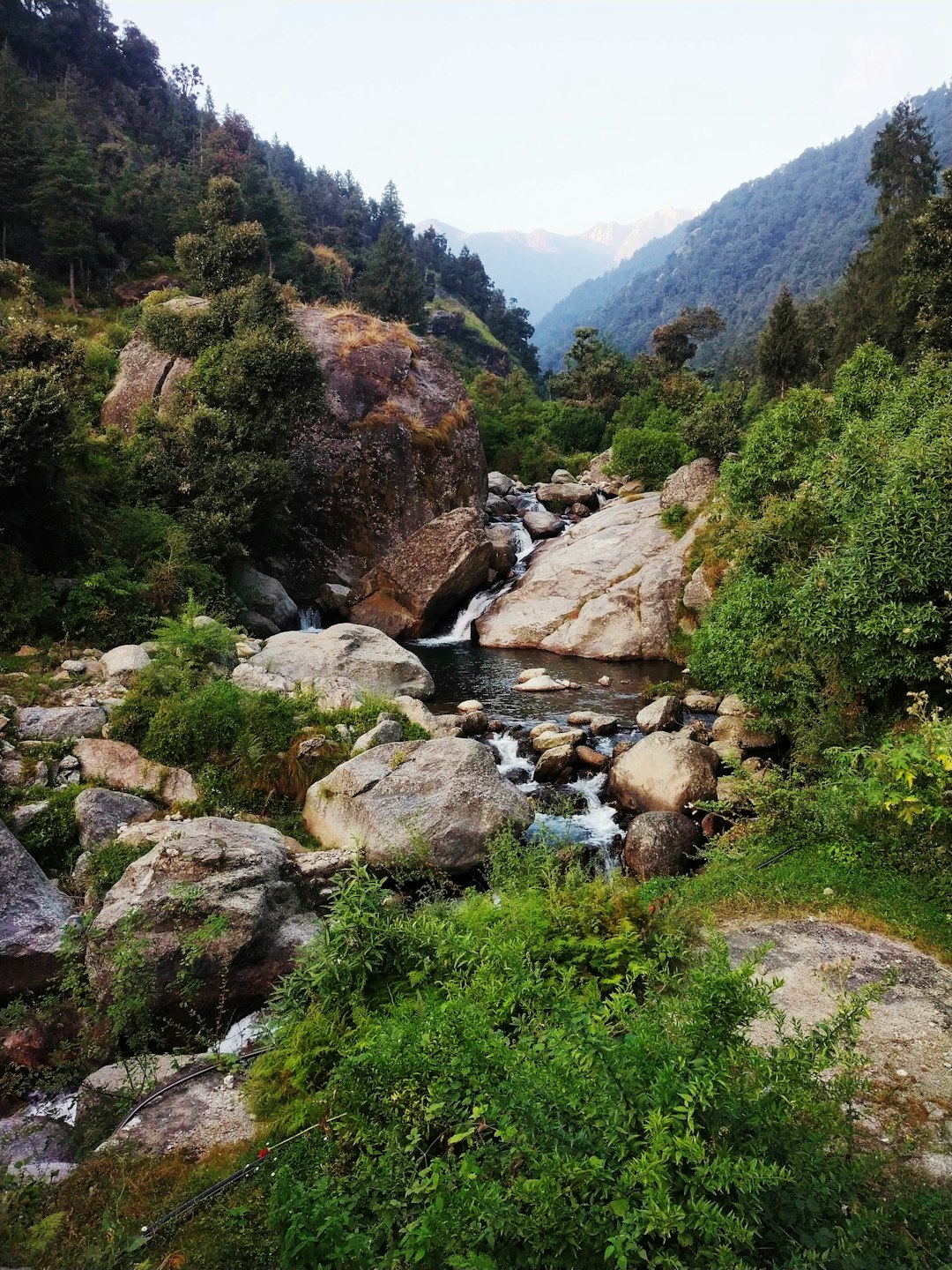 Nature reserve photo spot Nohradhar Shimla