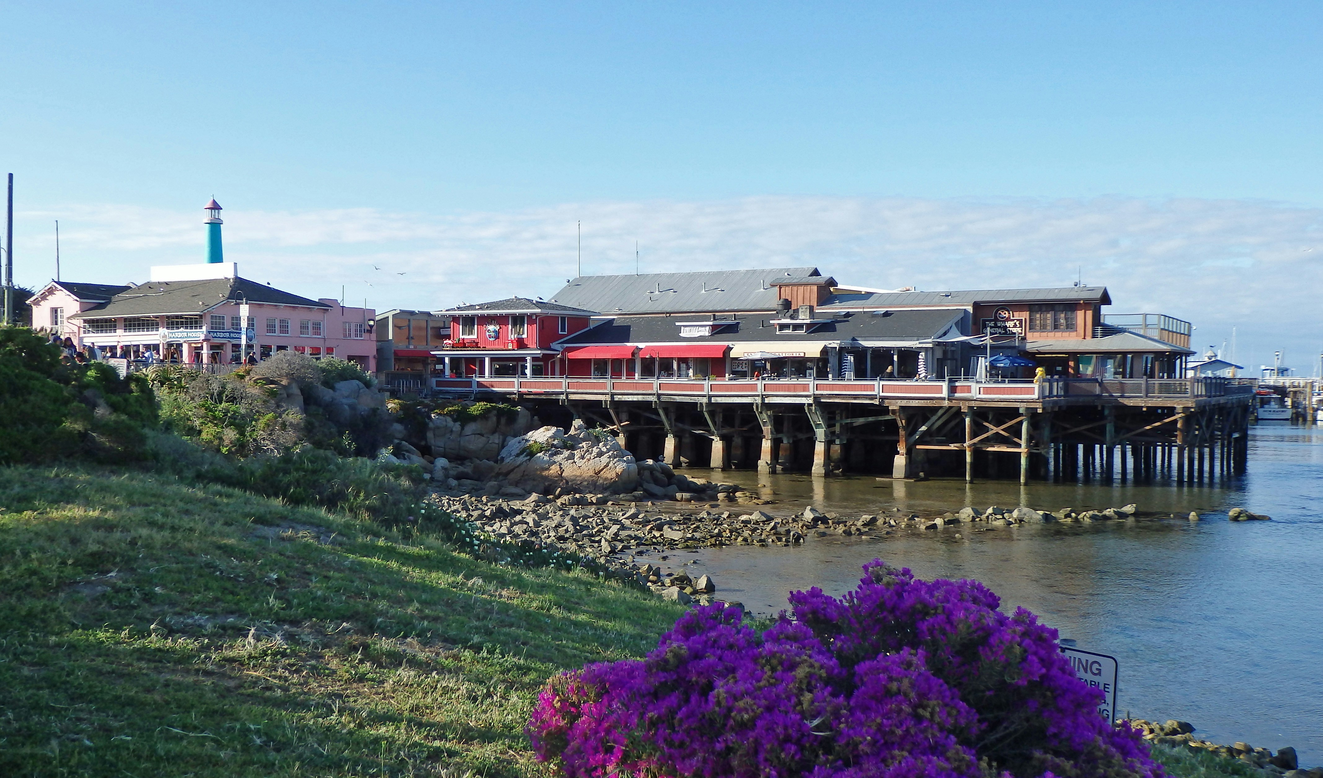 Explore the Beauty of Monterey Bay with Scenic Boat Tours