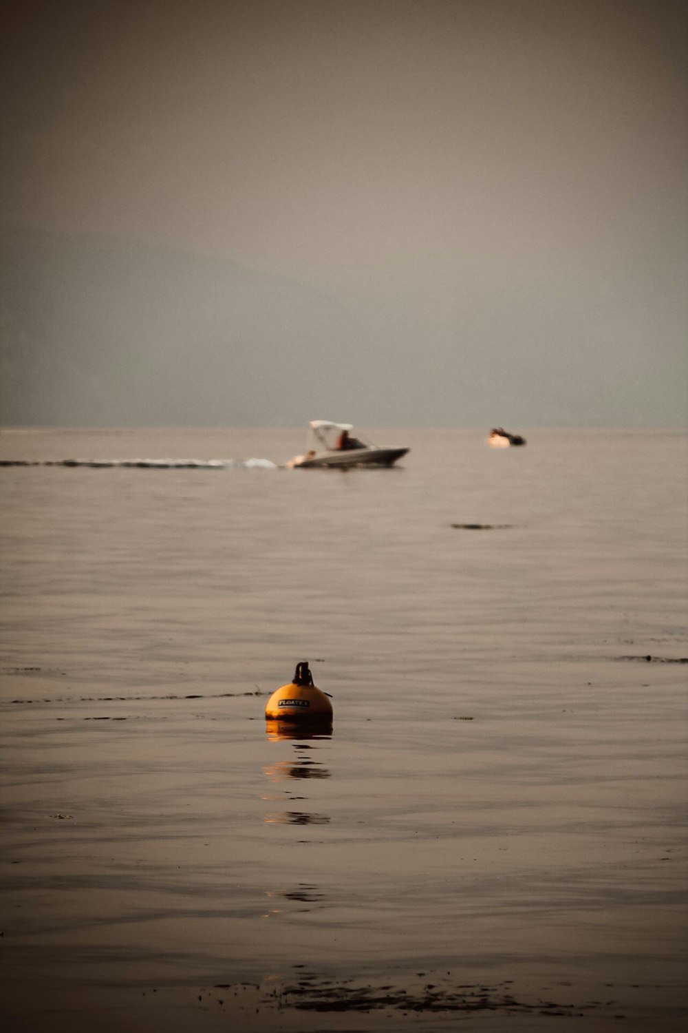 white and black swan on body of water during daytime