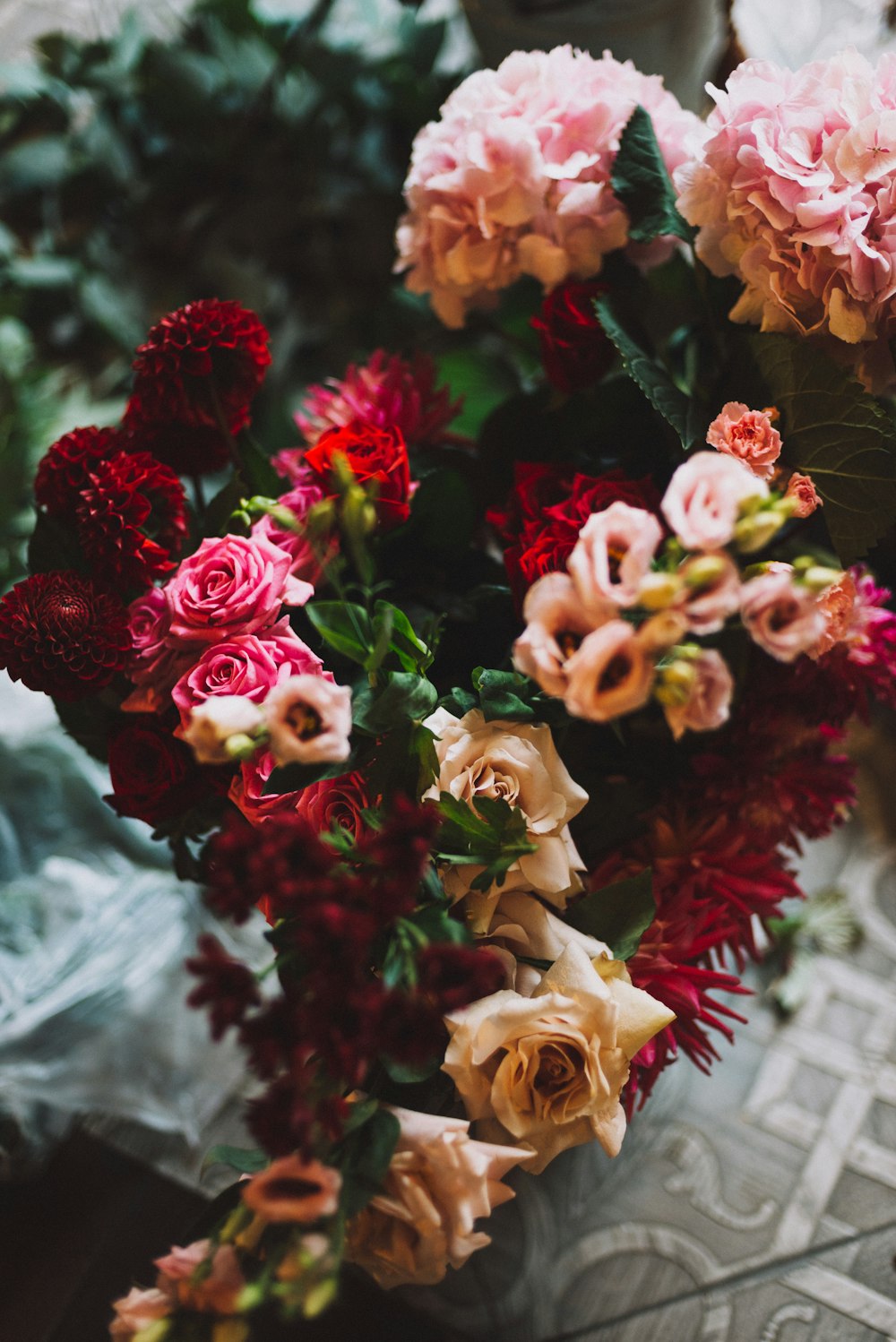 flores vermelhas e brancas com folhas verdes