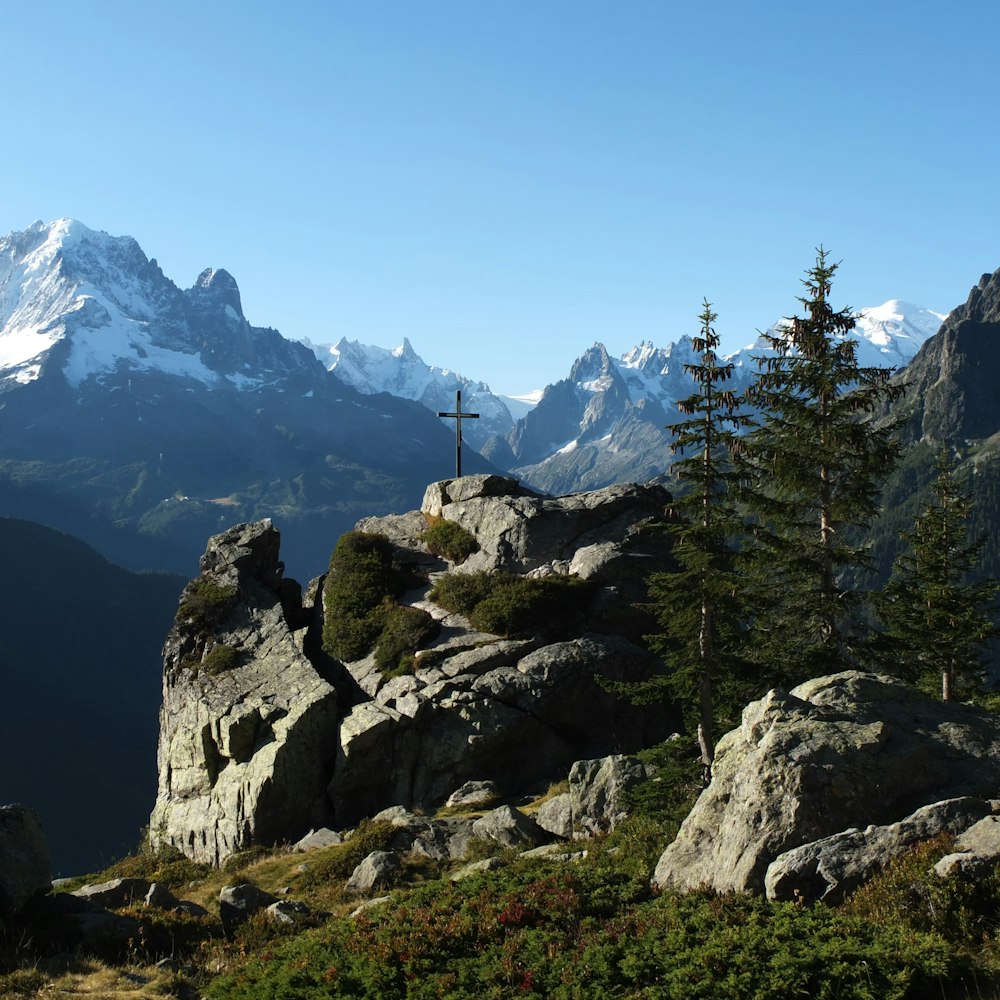 green trees on rocky mountain during daytime