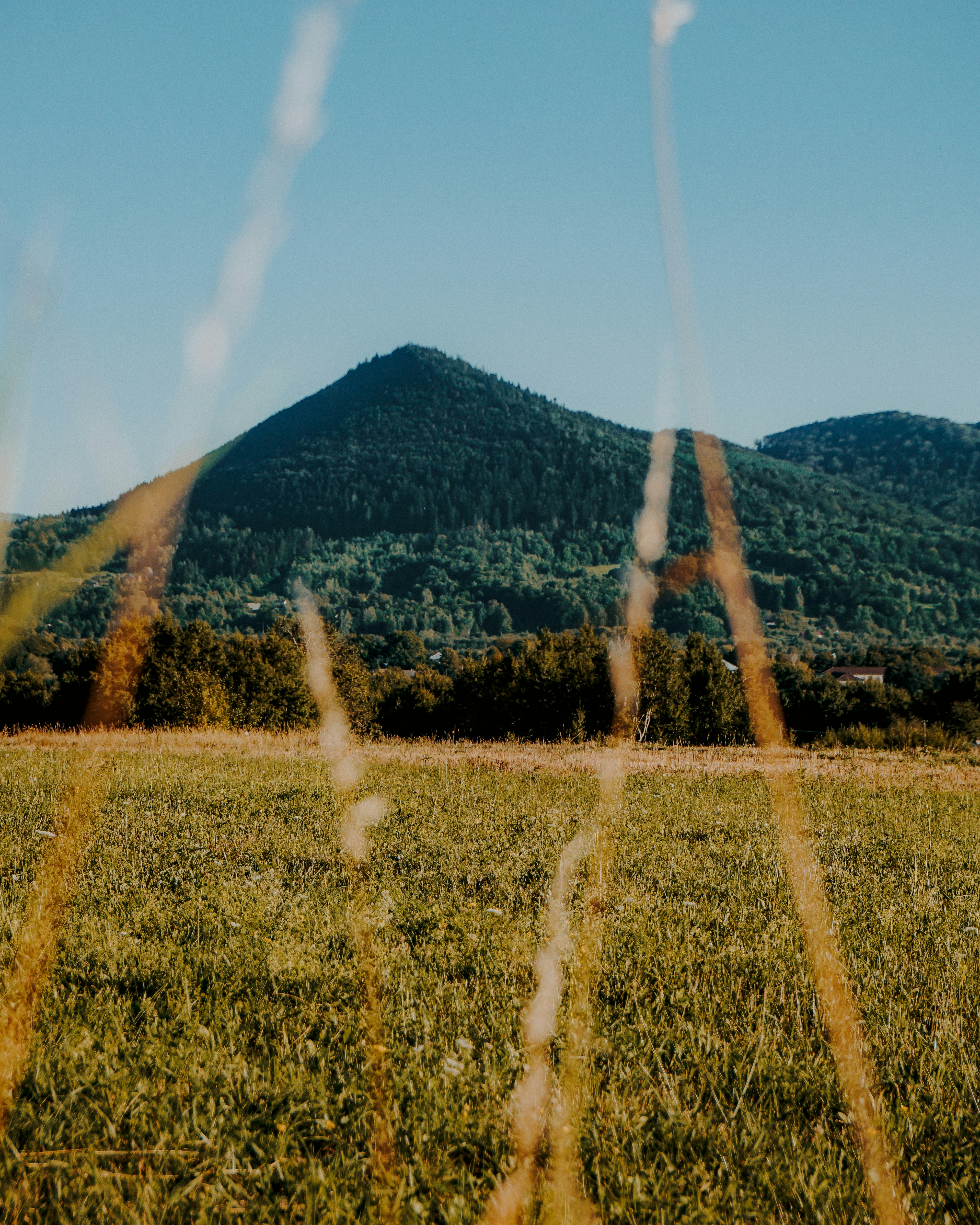 Green grass field near mountain under white clouds and blue sky during ...