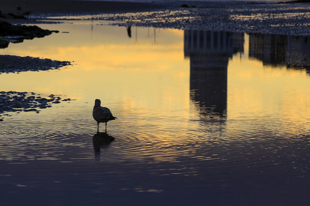 Lake photo spot Hastings United Kingdom