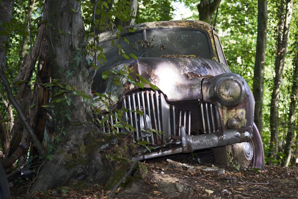 green vintage car in forest during daytime
