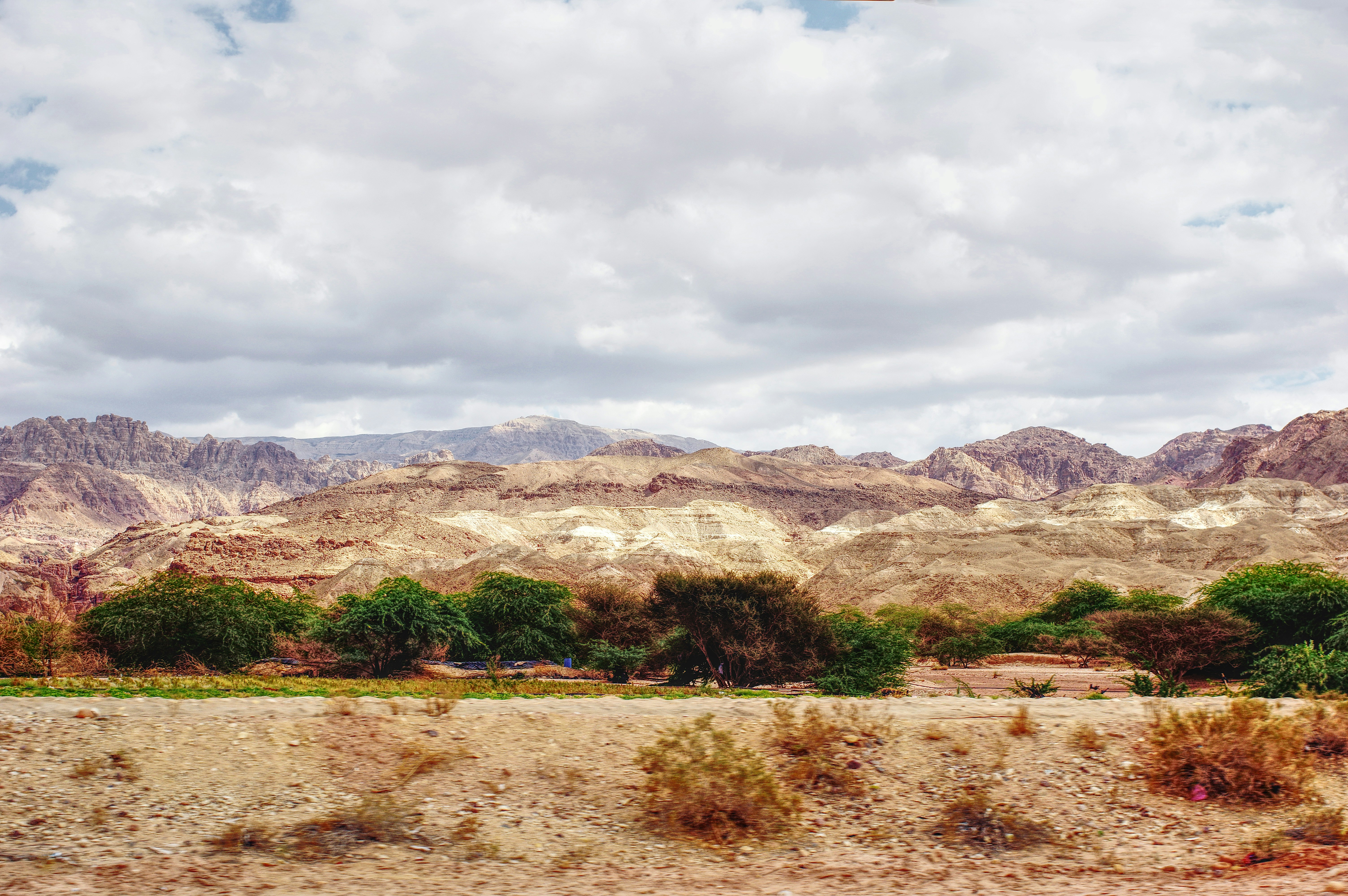 Photo by webmaster13870