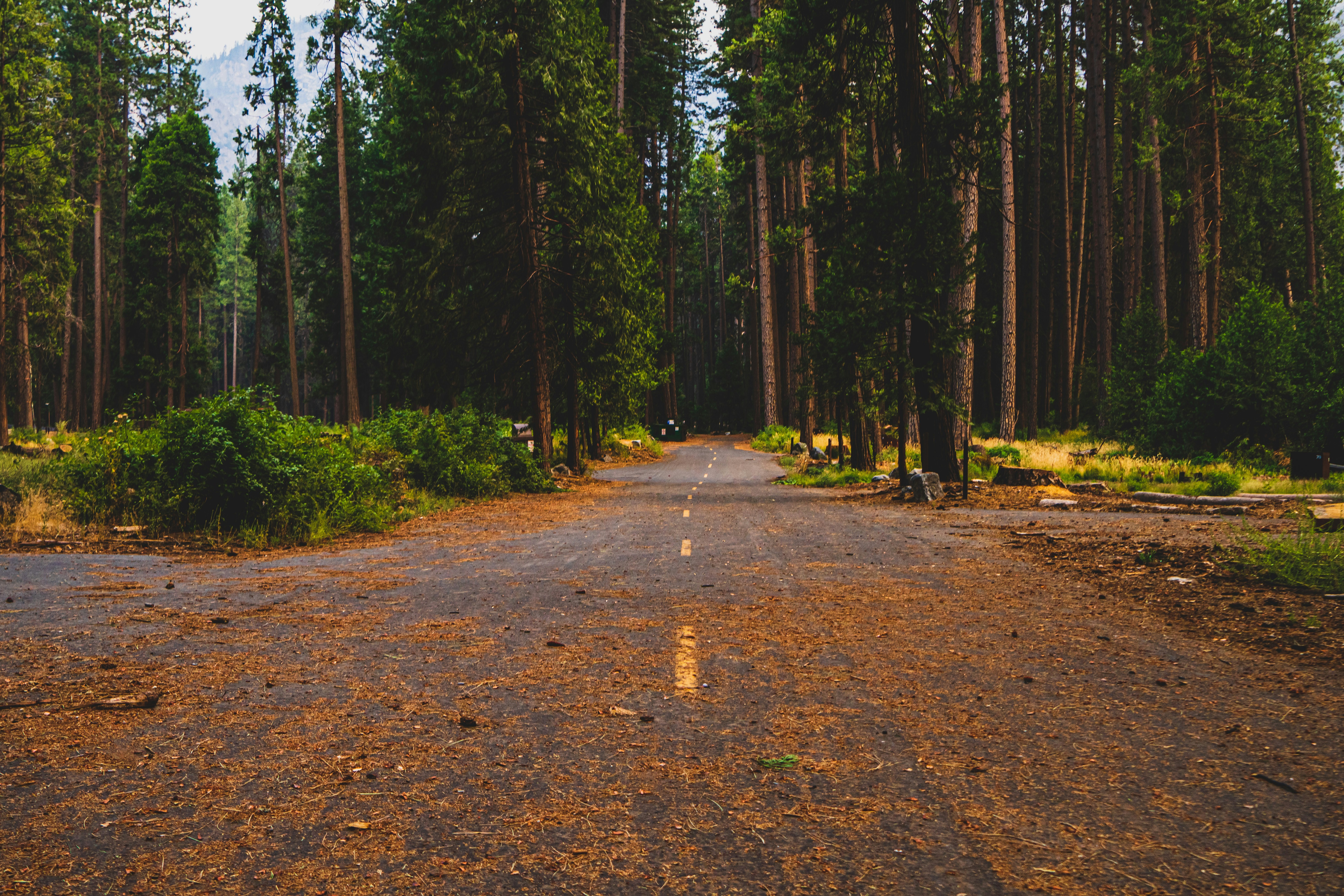 Photo by jeffreykeenan