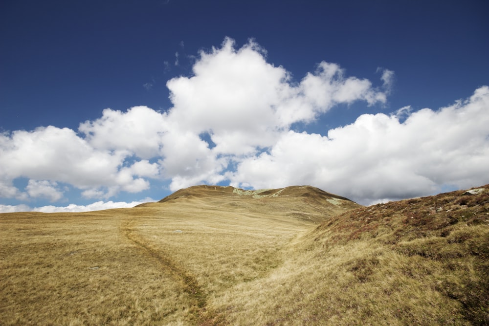 brown field under blue sky and white clouds during daytime