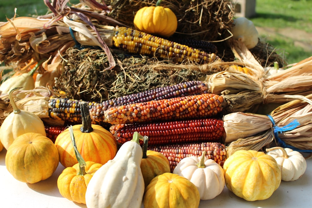 yellow and orange pumpkins on brown dried leaves