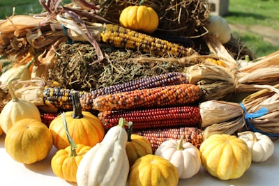 indian corn zoom background