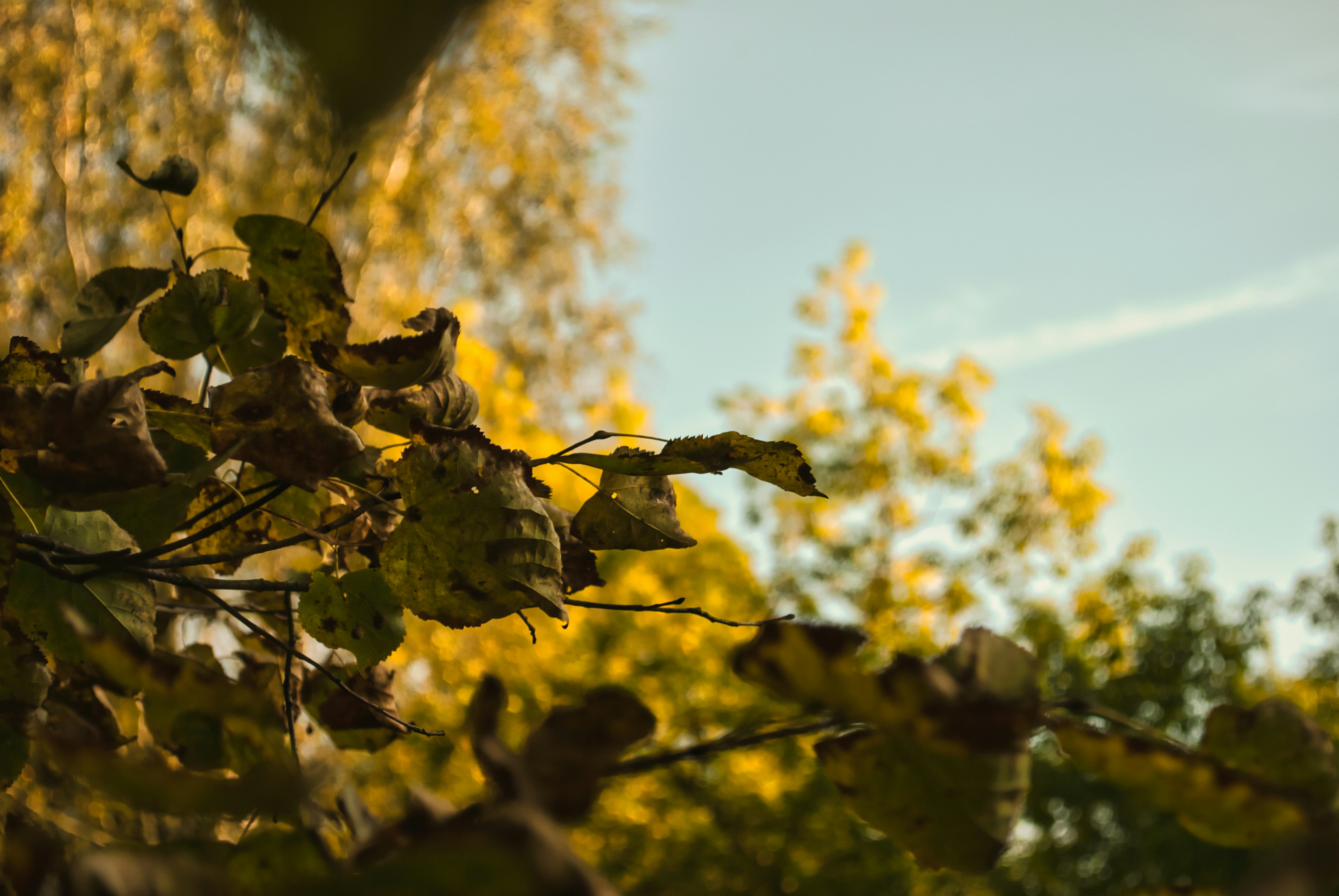 Photo by vinahradau