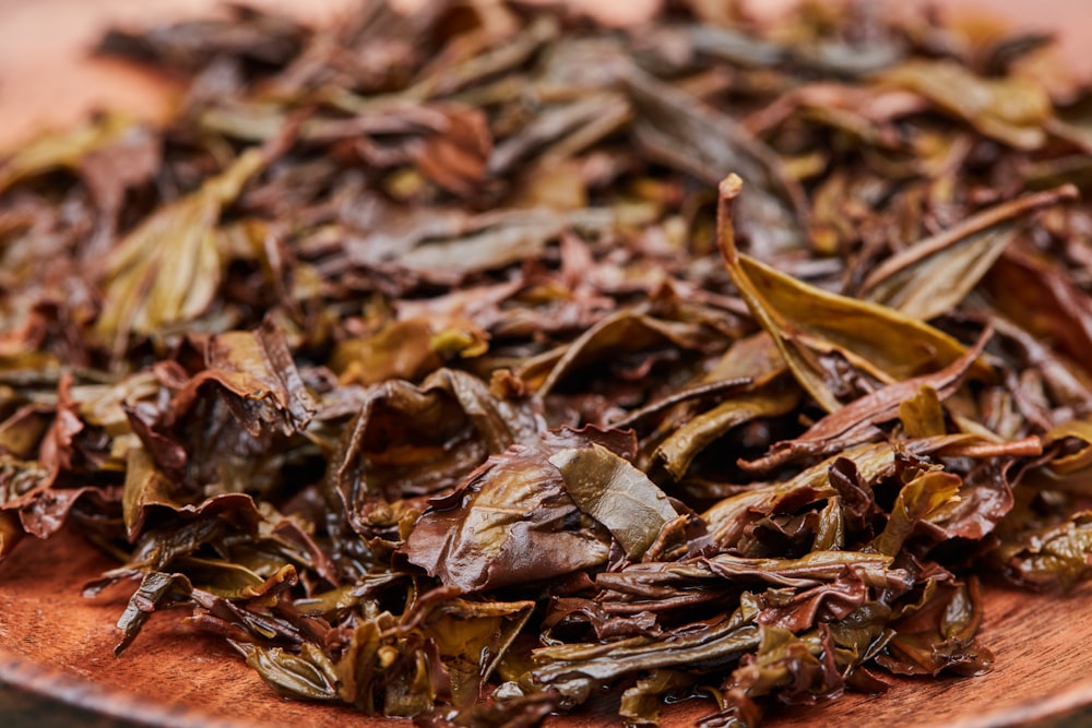 brown dried leaves on ground