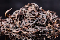 brown dried leaves in tilt shift lens