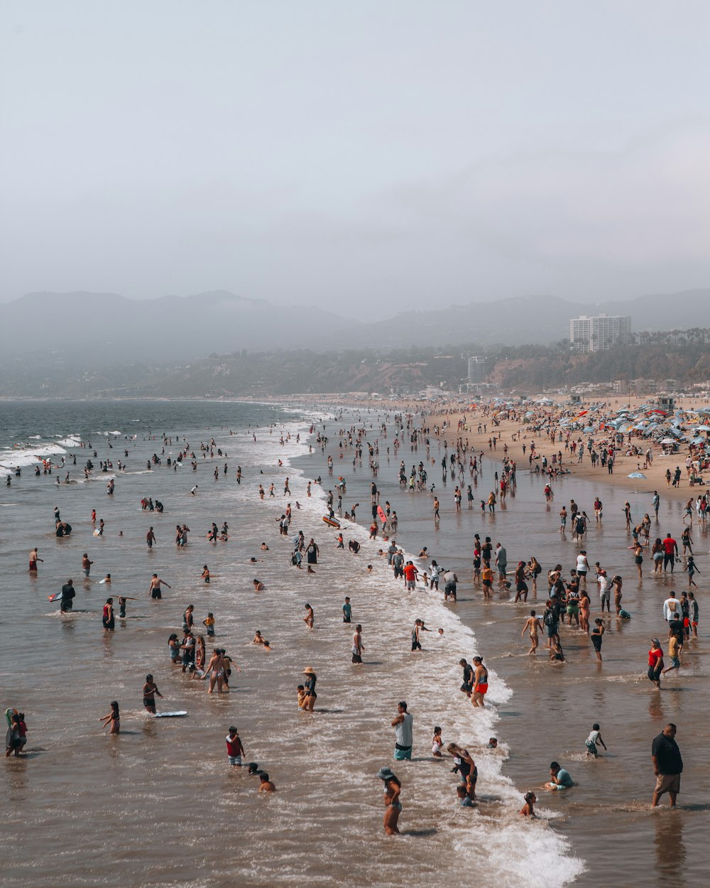 people on beach during daytime