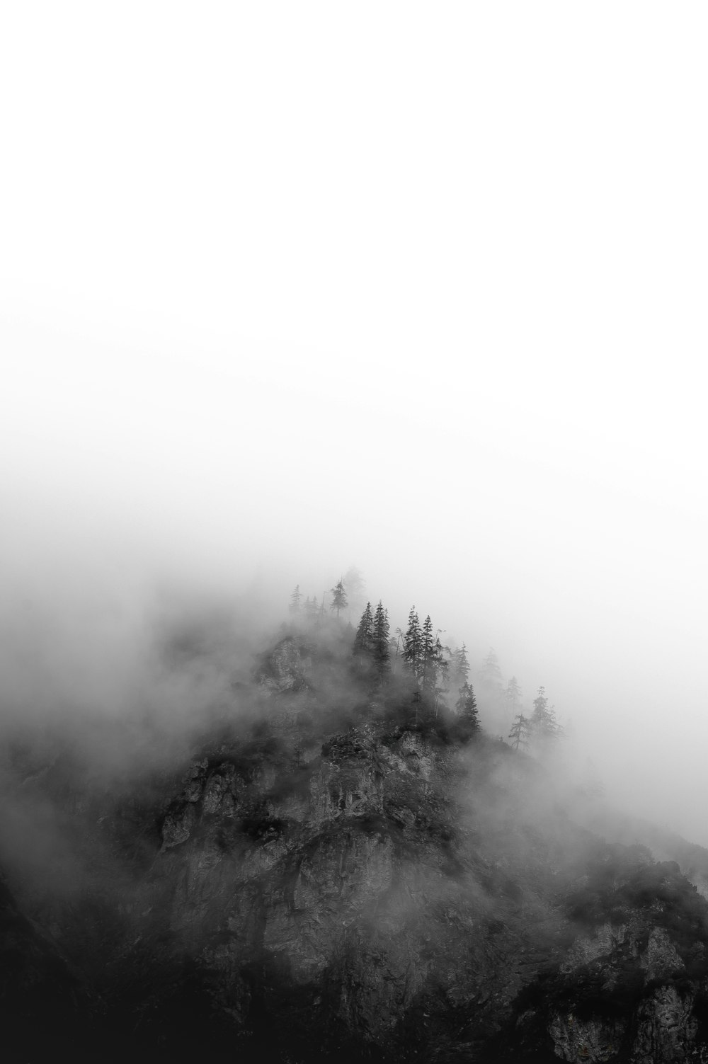 grayscale photo of trees covered by clouds