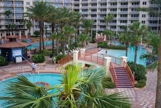 swimming pool near palm trees and building during daytime
