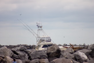 A boat with antennas and equipment is partially visible, surrounded by large rocks. Seagulls are flying around, and the sky is overcast.