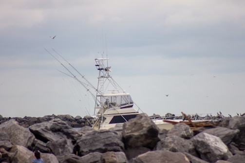 A boat with antennas and equipment is partially visible, surrounded by large rocks. Seagulls are flying around, and the sky is overcast.