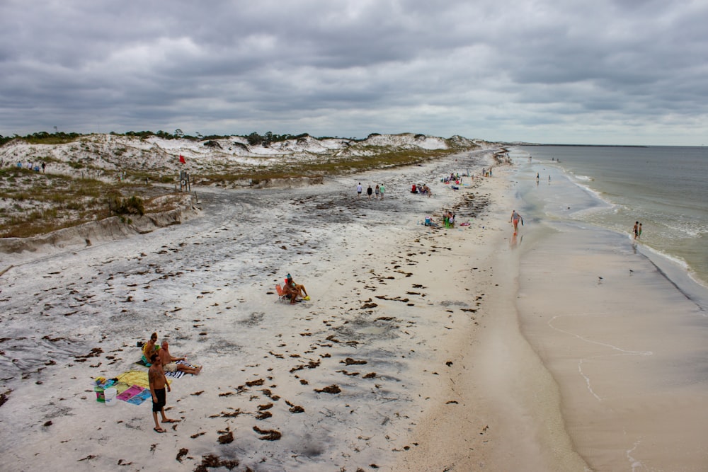 people on beach during daytime