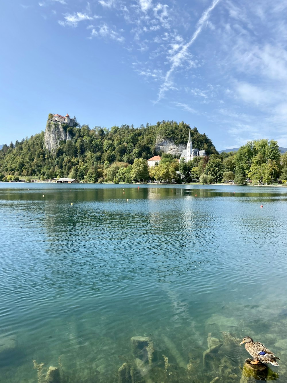 green trees on island surrounded by water under blue sky during daytime