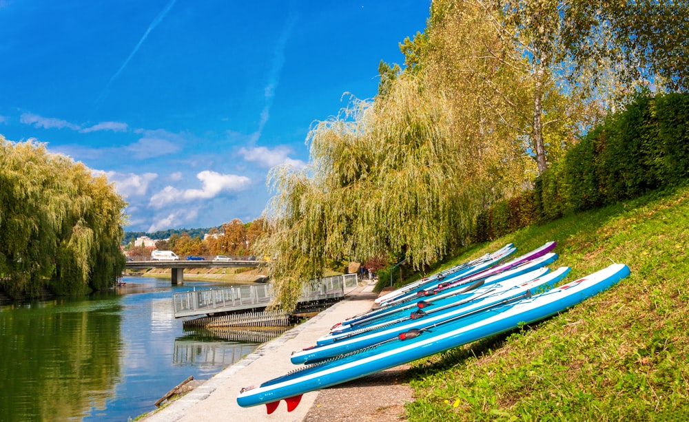 white and blue boat on green grass near body of water during daytime