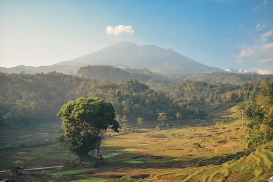 None in Majalengka Indonesia