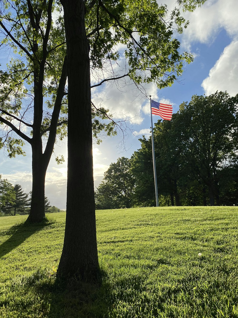 Un drapeau sur un champ d’herbe verte près des arbres verts pendant la journée
