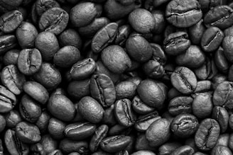 A close-up of a large number of roasted coffee beans, displaying various textures and details in shades of black and brown. The beans are packed closely together, showing their characteristic oval shapes and distinct seam lines.