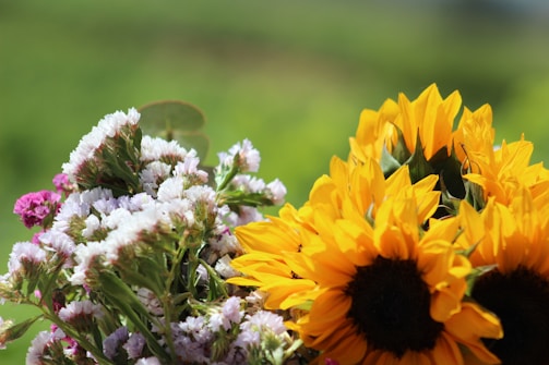 Close-up of a bright sunflower bouquet with green foliage.