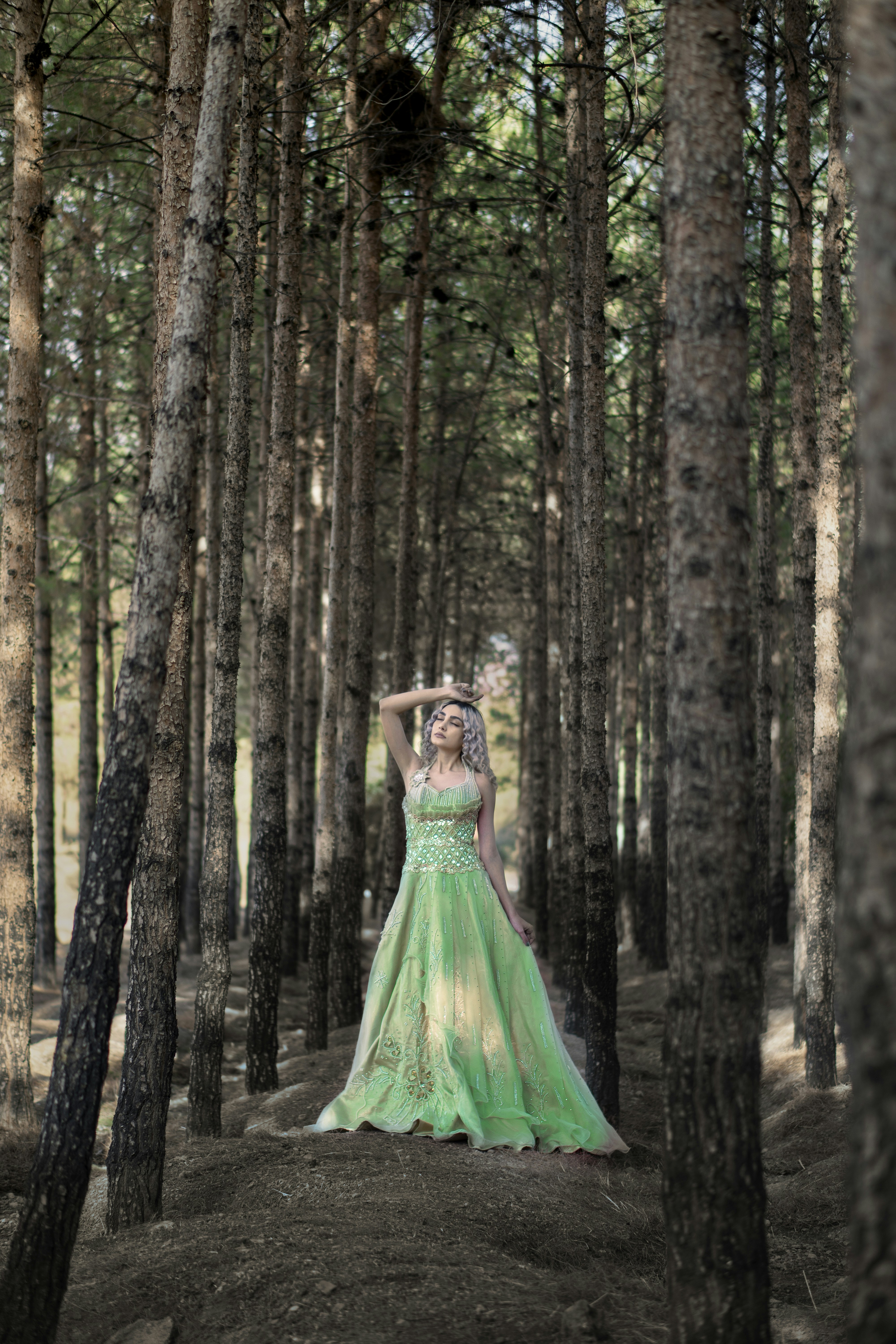 Photo by alikarimibn