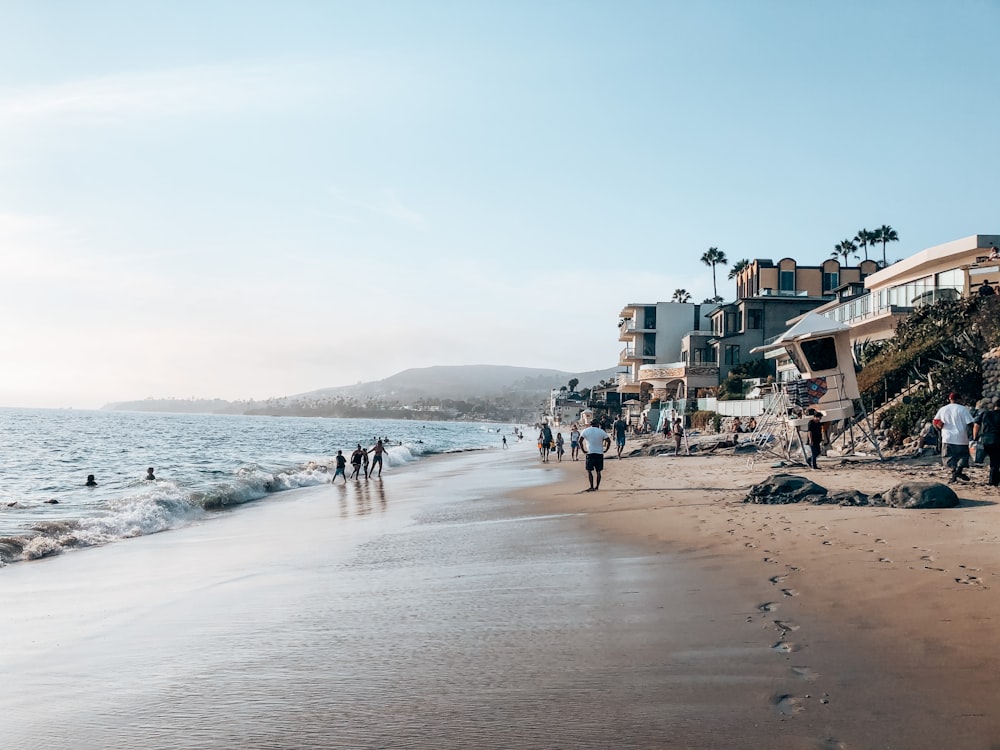 people on beach during daytime