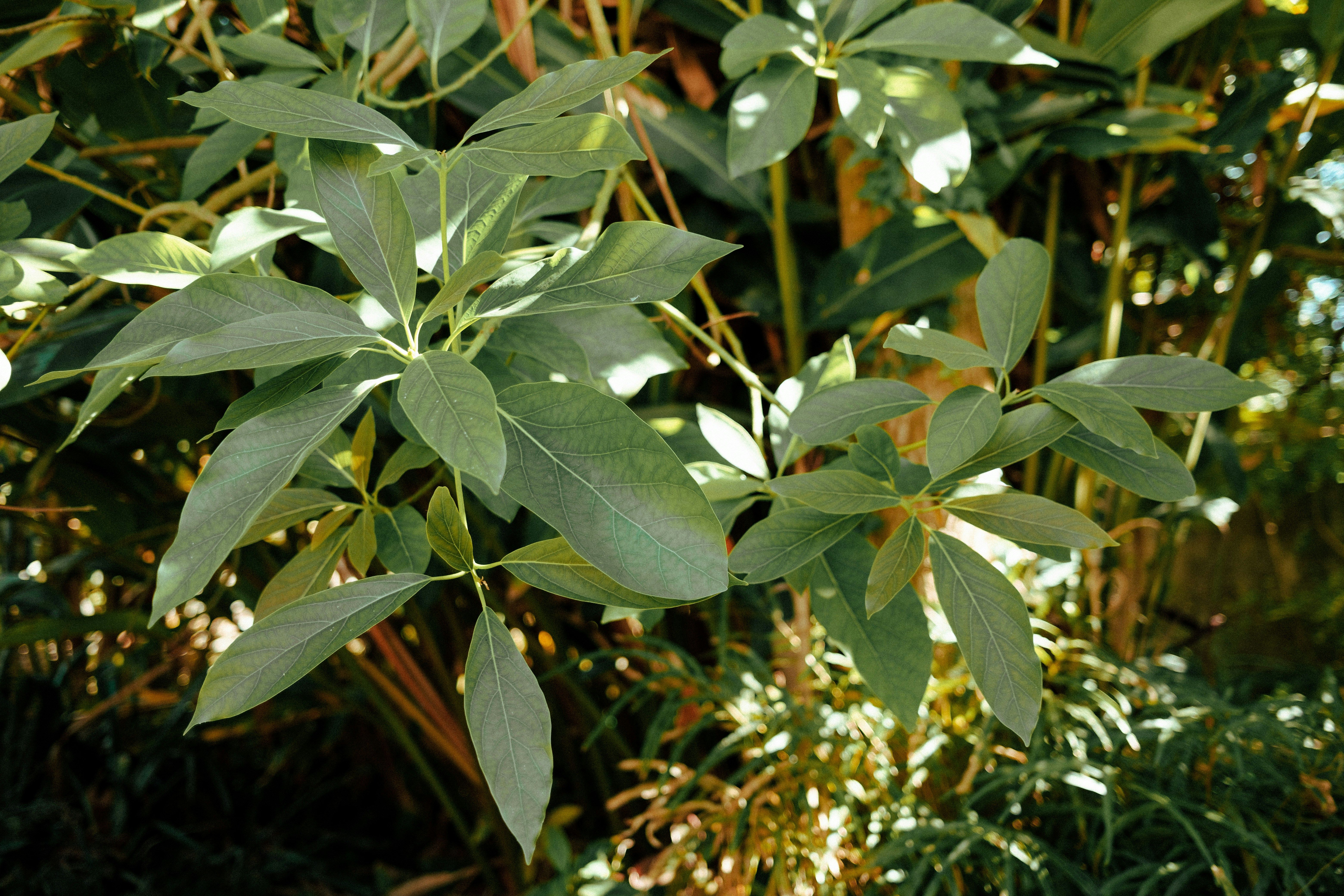 Photo by fromaugusto