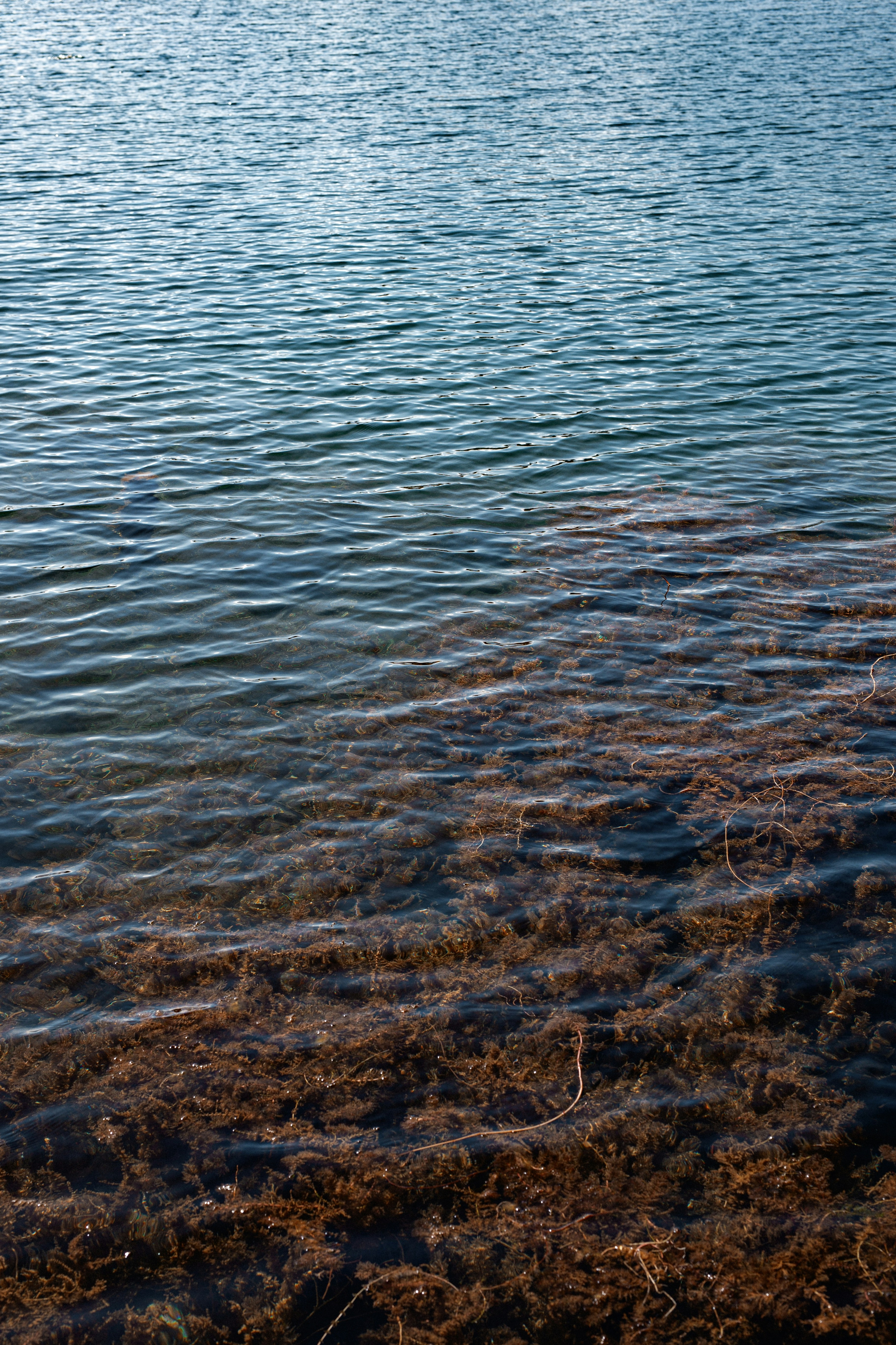 Photo by vinomamba24