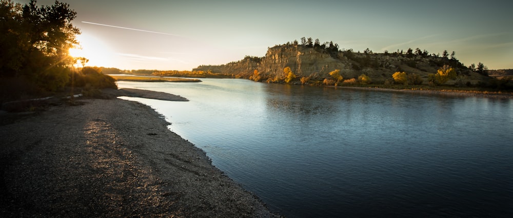 brown and green trees beside river during daytime