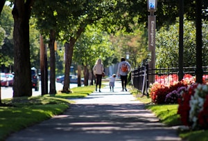 A serene tree-lined sidewalk with three people walking away in the distance, including a child being guided by two adults. Bright red and white flowers line one side of the path, and there's a sign indicating emergency services. The scene is bathed in natural sunlight, casting soft shadows.