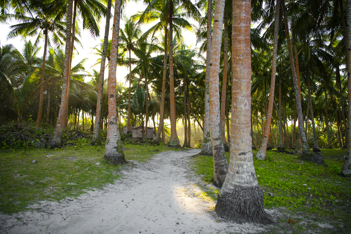 Tropical resort pathways on an island