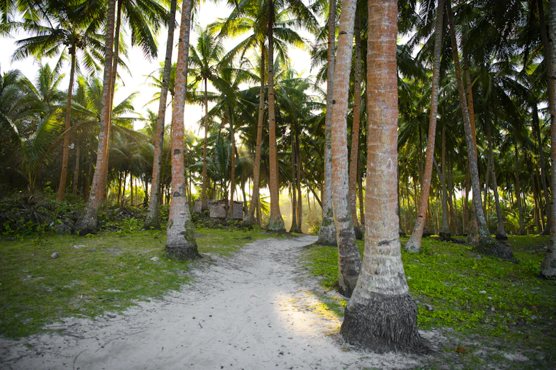 Must Visit Landmarks in Siargao and the Stories Behind Them