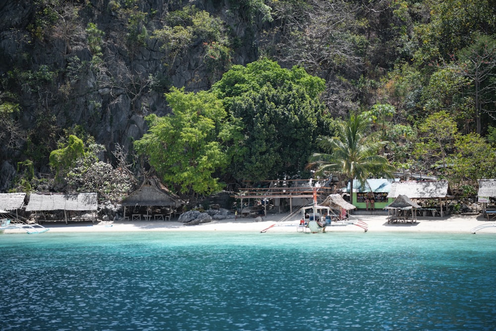 people on beach during daytime