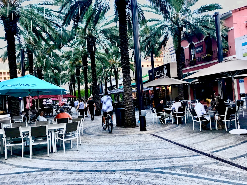 people sitting on chairs under green palm trees during daytime