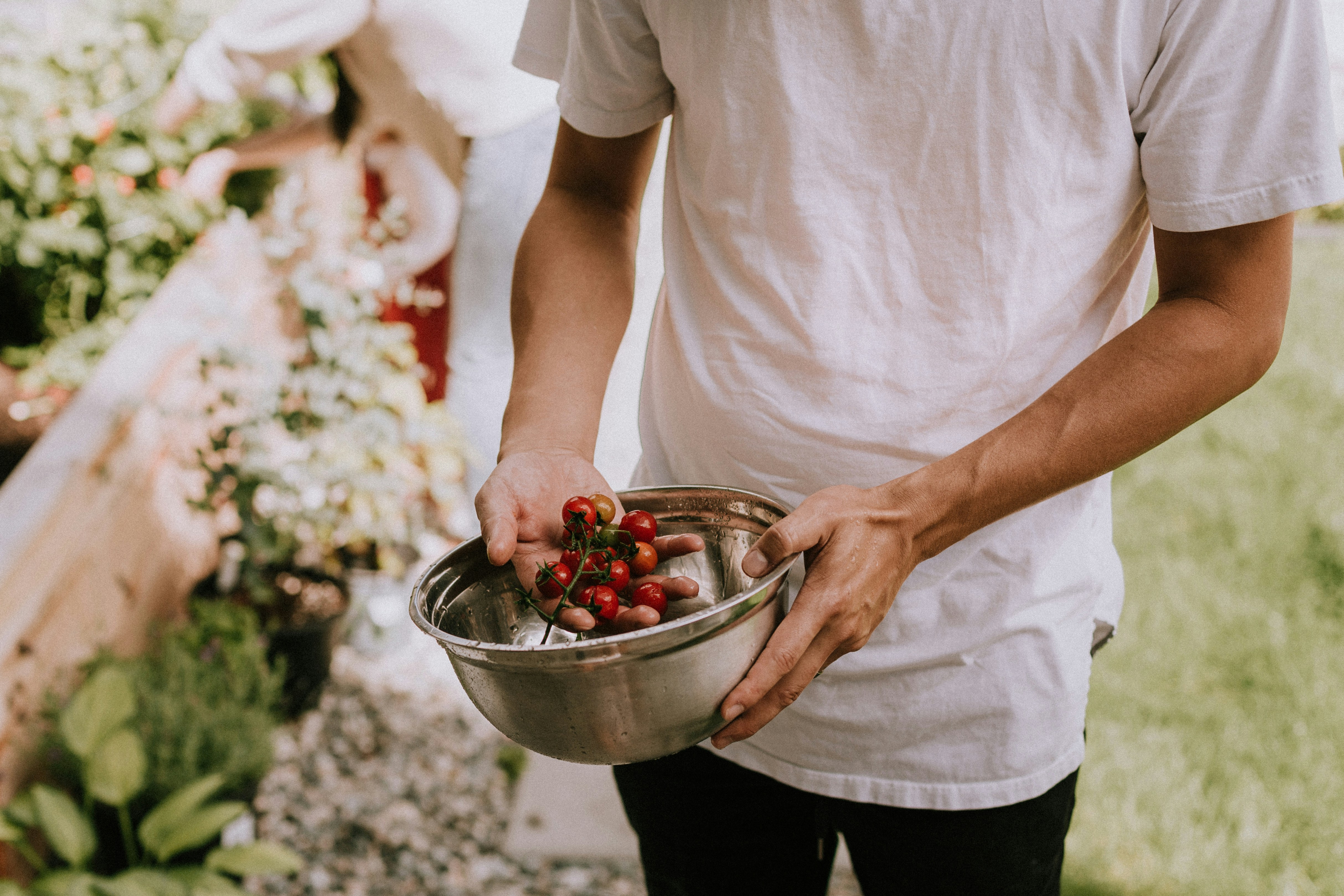 Discovering the Aromas of Herbs and Spices