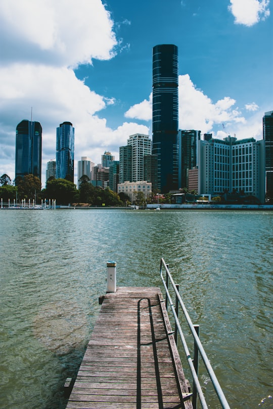 None in Kangaroo Point Cliffs Park Australia