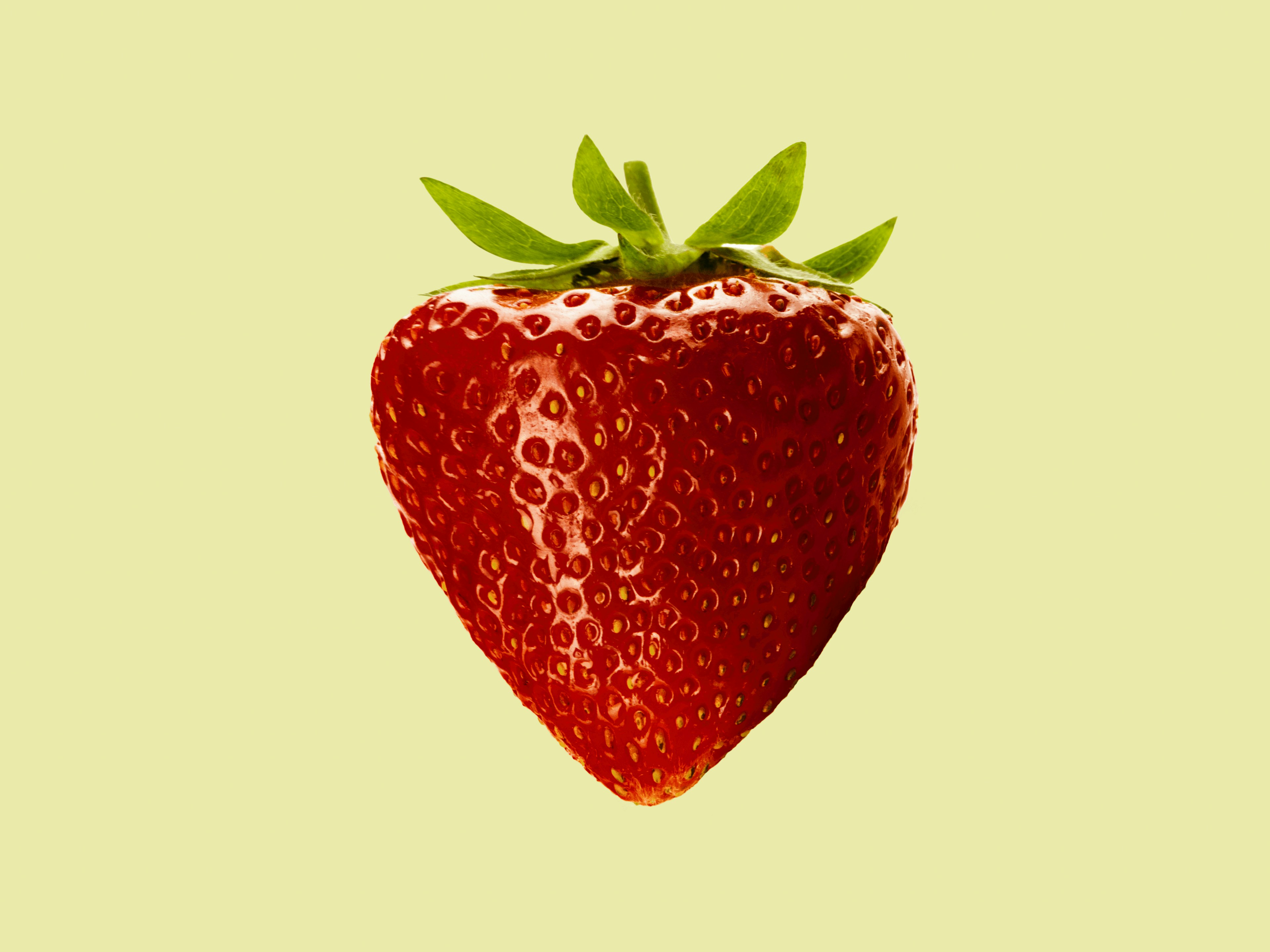 red strawberry fruit with white background