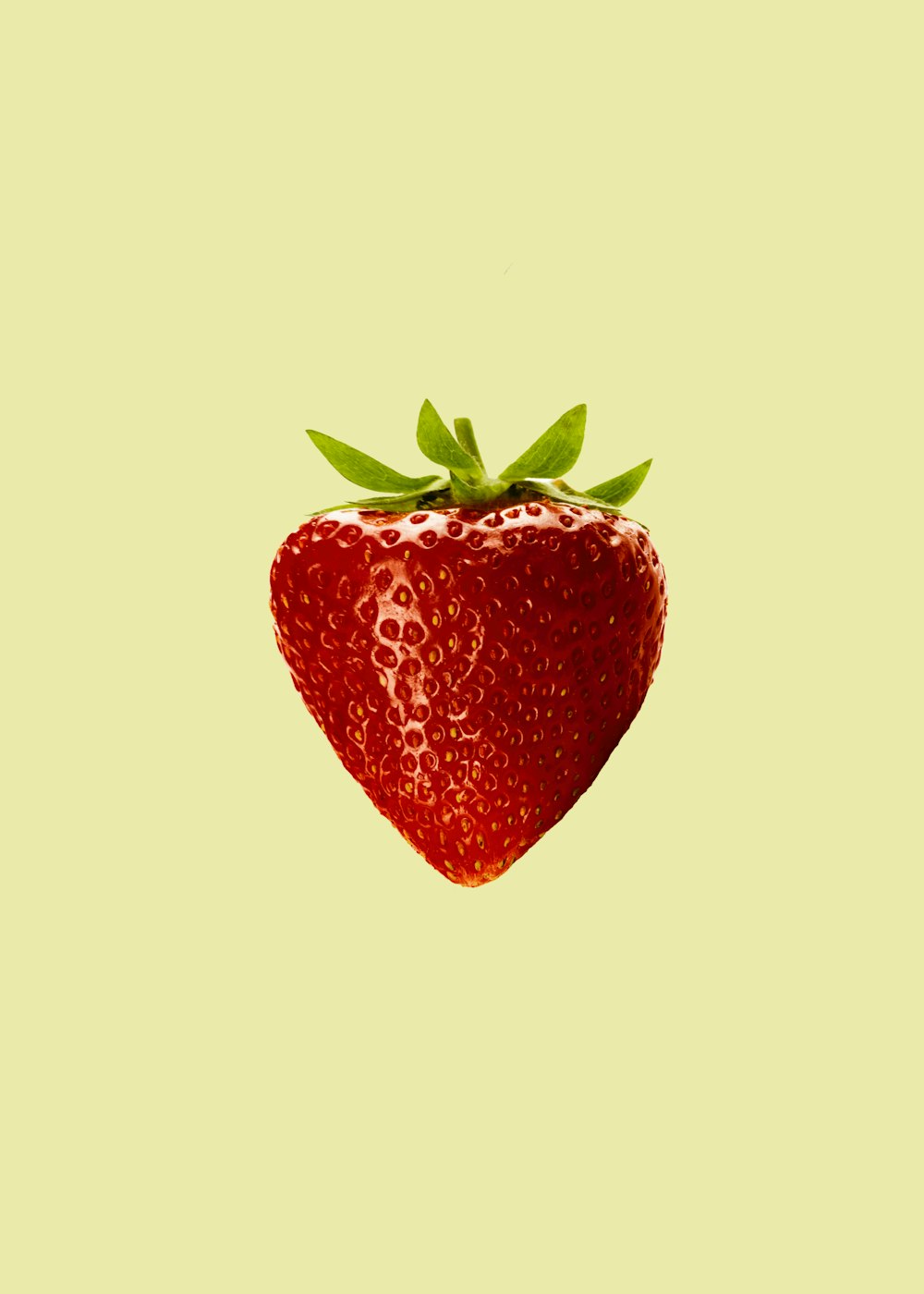 red strawberry fruit with white background